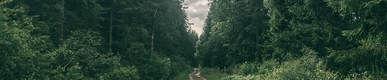Skogsvägen
